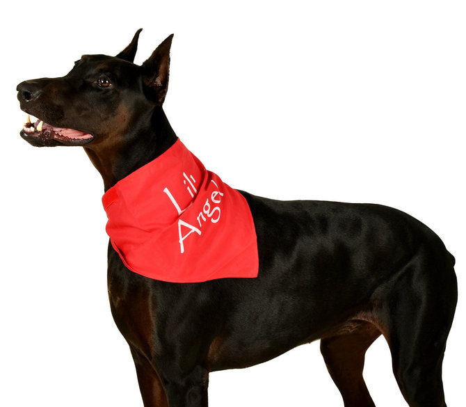 Cobble Creek 5162 Define Naughty & Lil Angel Reversible Pet Bandana