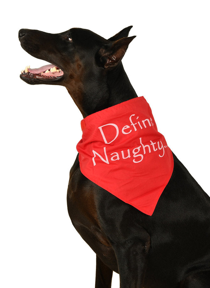 Cobble Creek 5162 Define Naughty & Lil Angel Reversible Pet Bandana